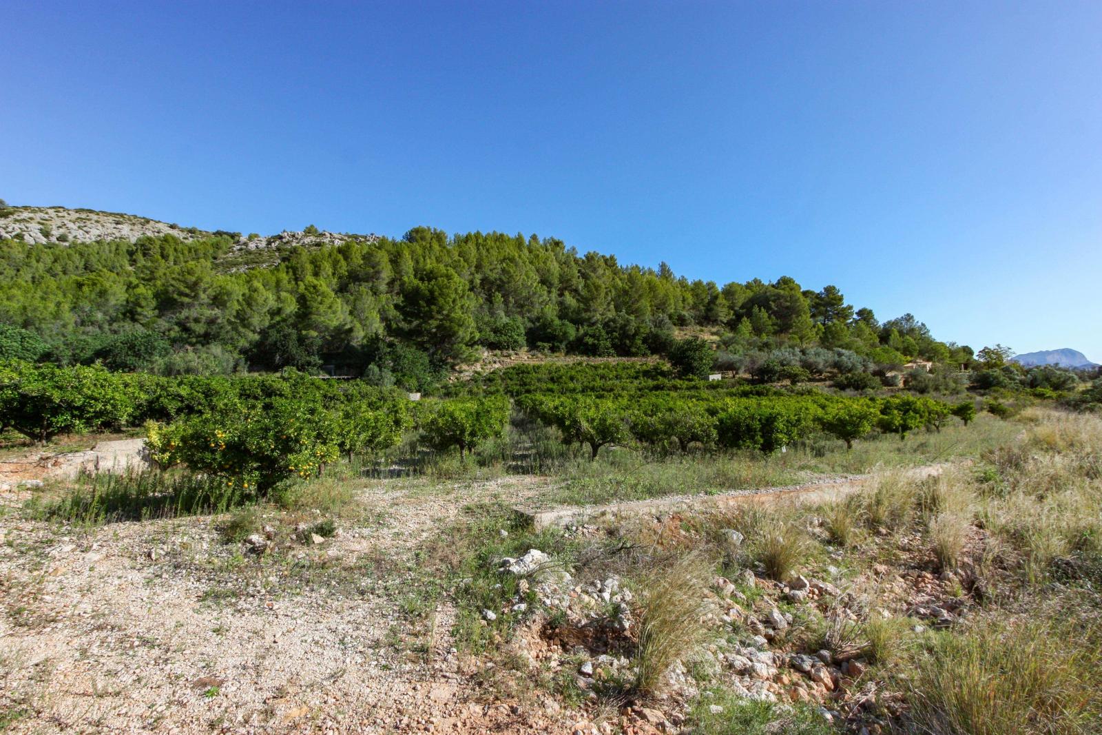 Photo number 5. Land / Ground for sale in Sagra. Ref.: PRT-230962