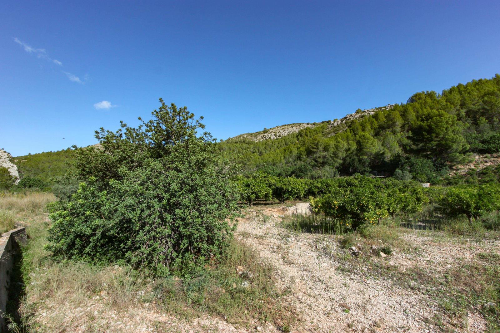Photo number 6. Land / Ground for sale in Sagra. Ref.: PRT-230962