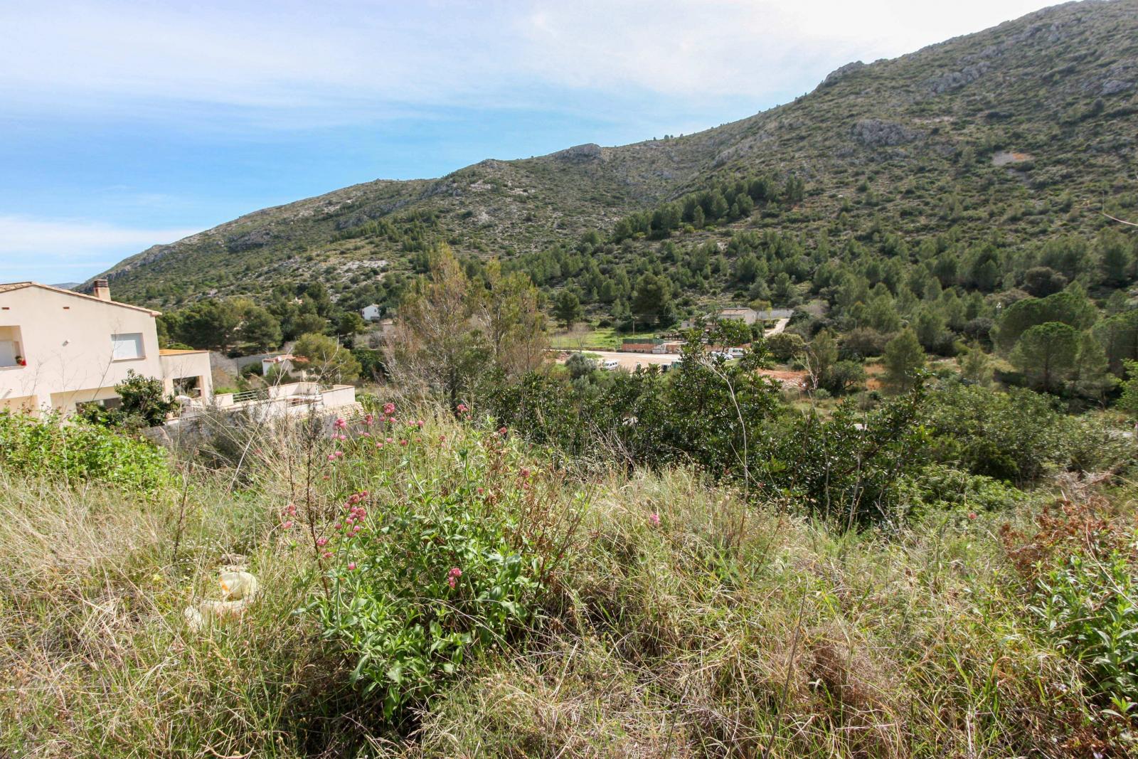Photo number 3. Land / Ground for sale in Pedreguer. Ref.: PRT-244082