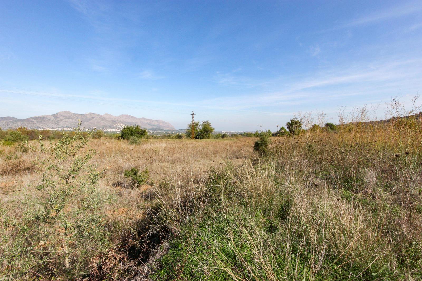 Photo number 6. Land / Ground for sale in Orba. Ref.: PRT-250889
