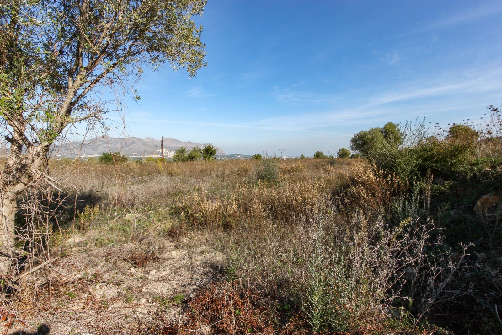Photo number 7. Land / Ground for sale in Orba. Ref.: PRT-250889