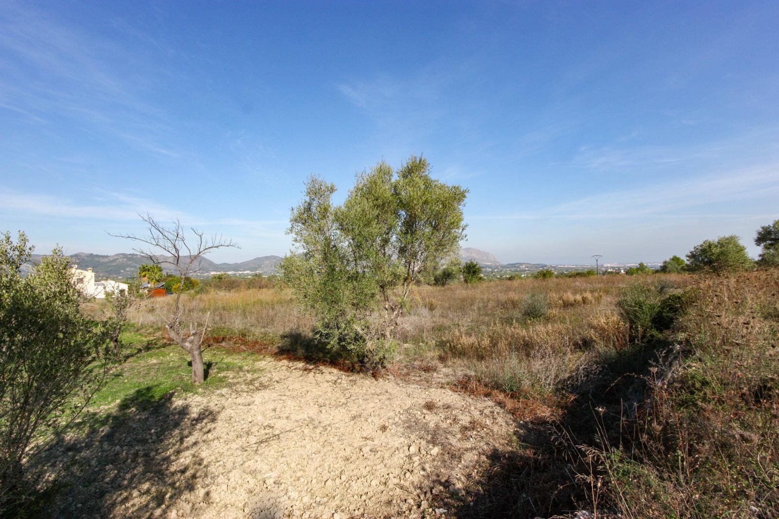 Photo number 8. Land / Ground for sale in Orba. Ref.: PRT-250889
