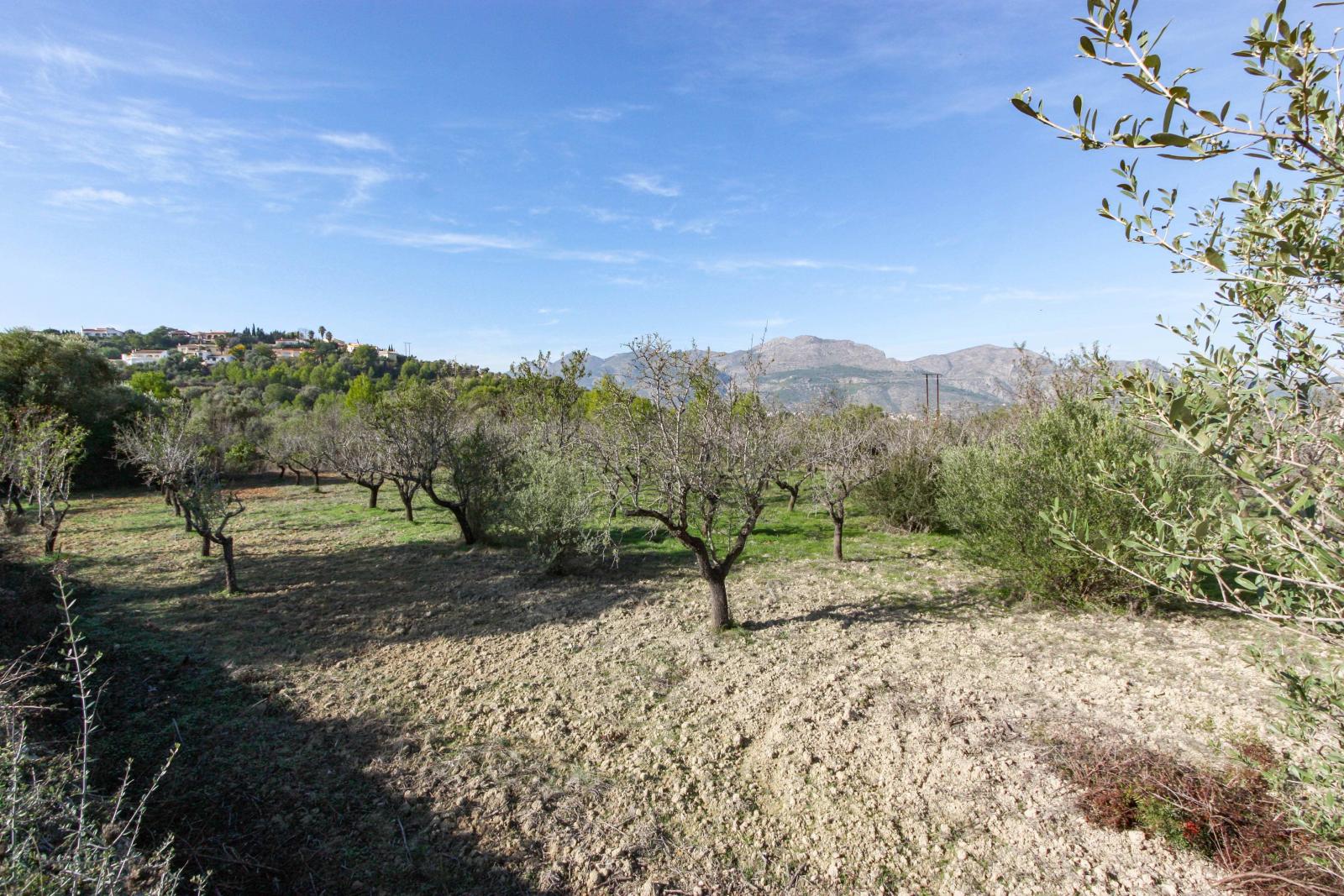 Photo number 9. Land / Ground for sale in Orba. Ref.: PRT-250889