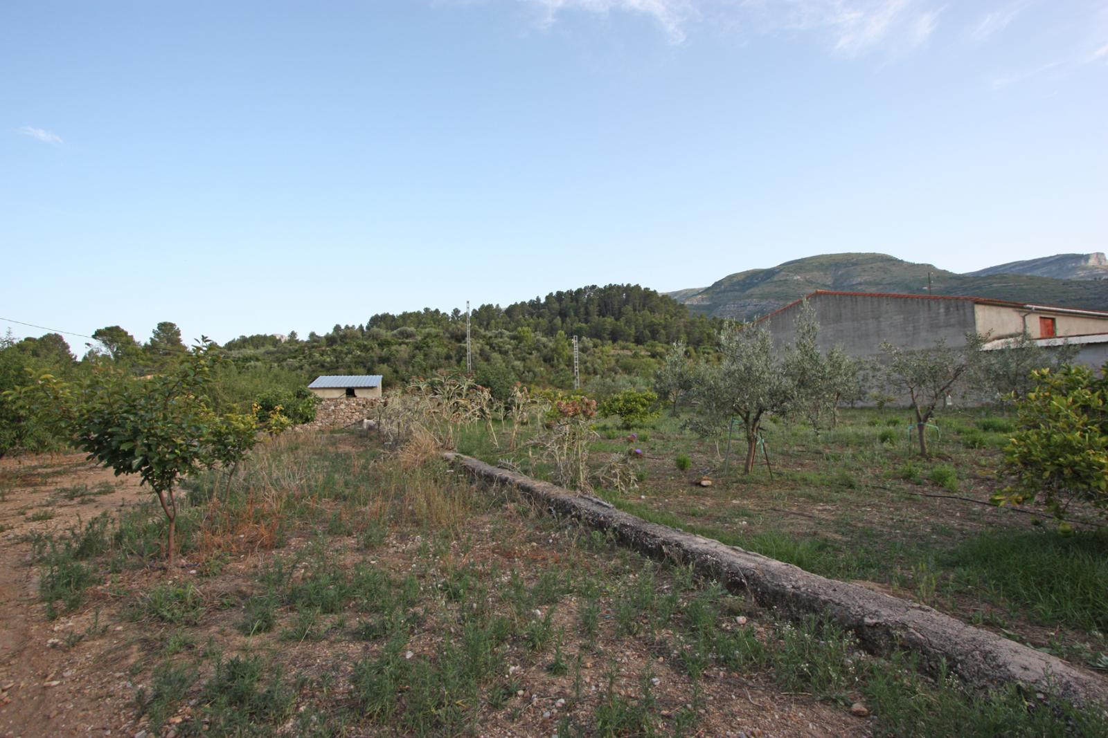 Photo number 7. Villa for sale in Murla. Ref.: PRT-283770