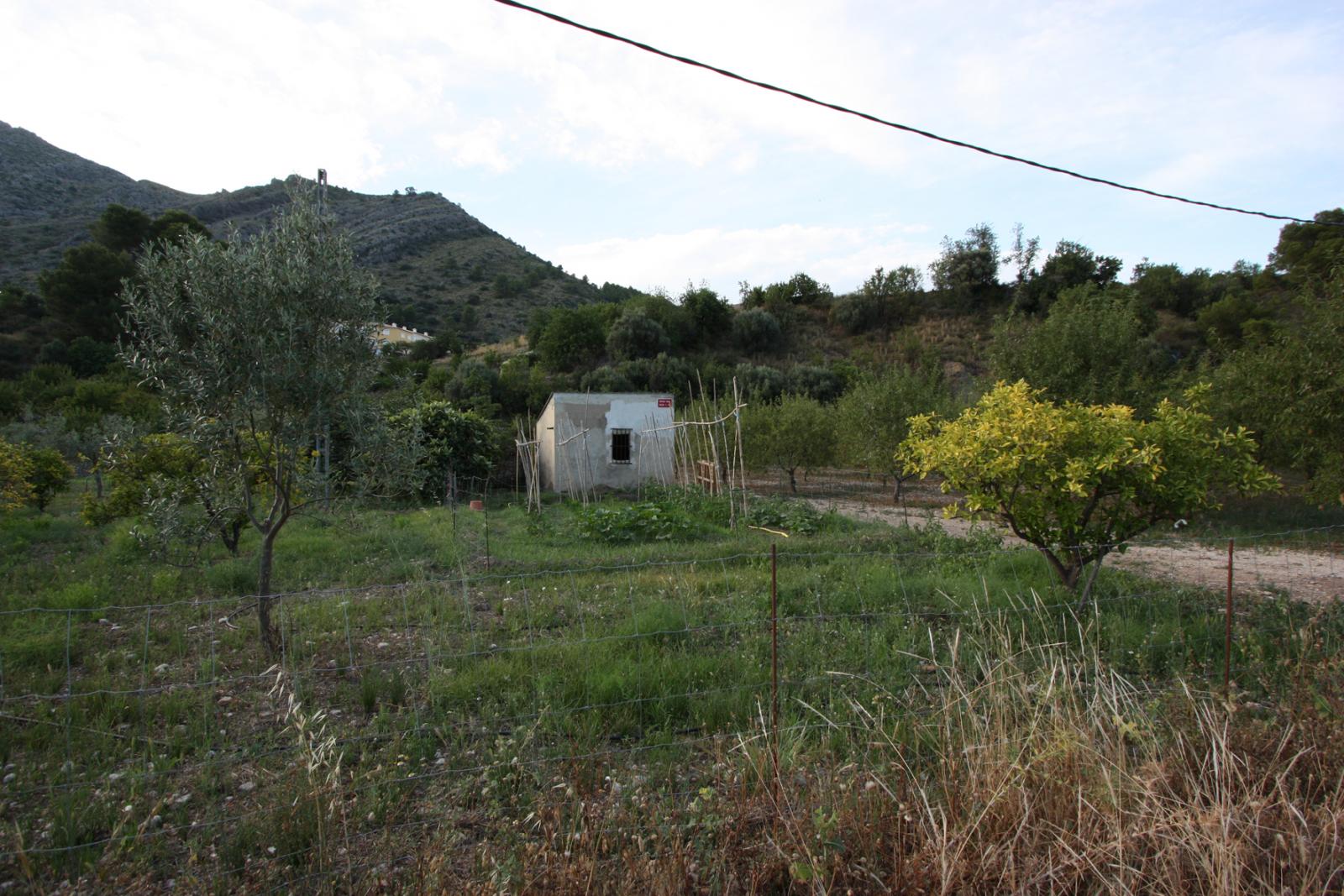Photo number 8. Villa for sale in Murla. Ref.: PRT-283770