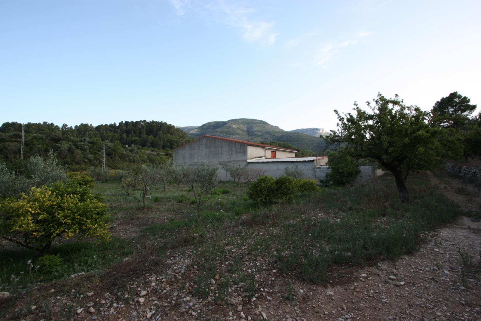 Photo number 13. Villa for sale in Murla. Ref.: PRT-283770