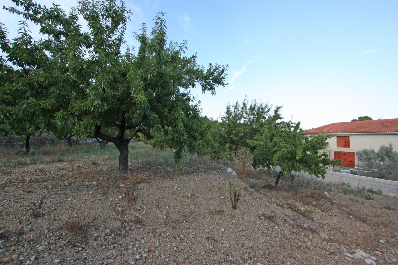Photo number 14. Villa for sale in Murla. Ref.: PRT-283770