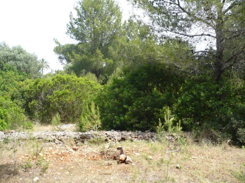 Photo number 2. Land / Ground for sale in Denia. Ref.: XMI-107381