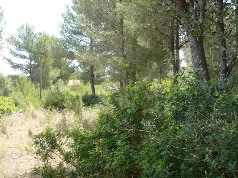 Photo number 3. Land / Ground for sale in Denia. Ref.: XMI-107381