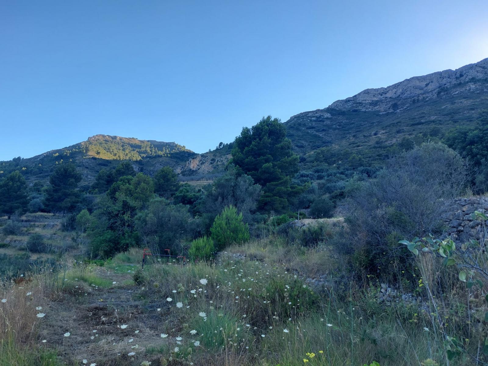 Photo number 2. Land / Ground for sale in Jalón / Xaló. Ref.: PRT-292330