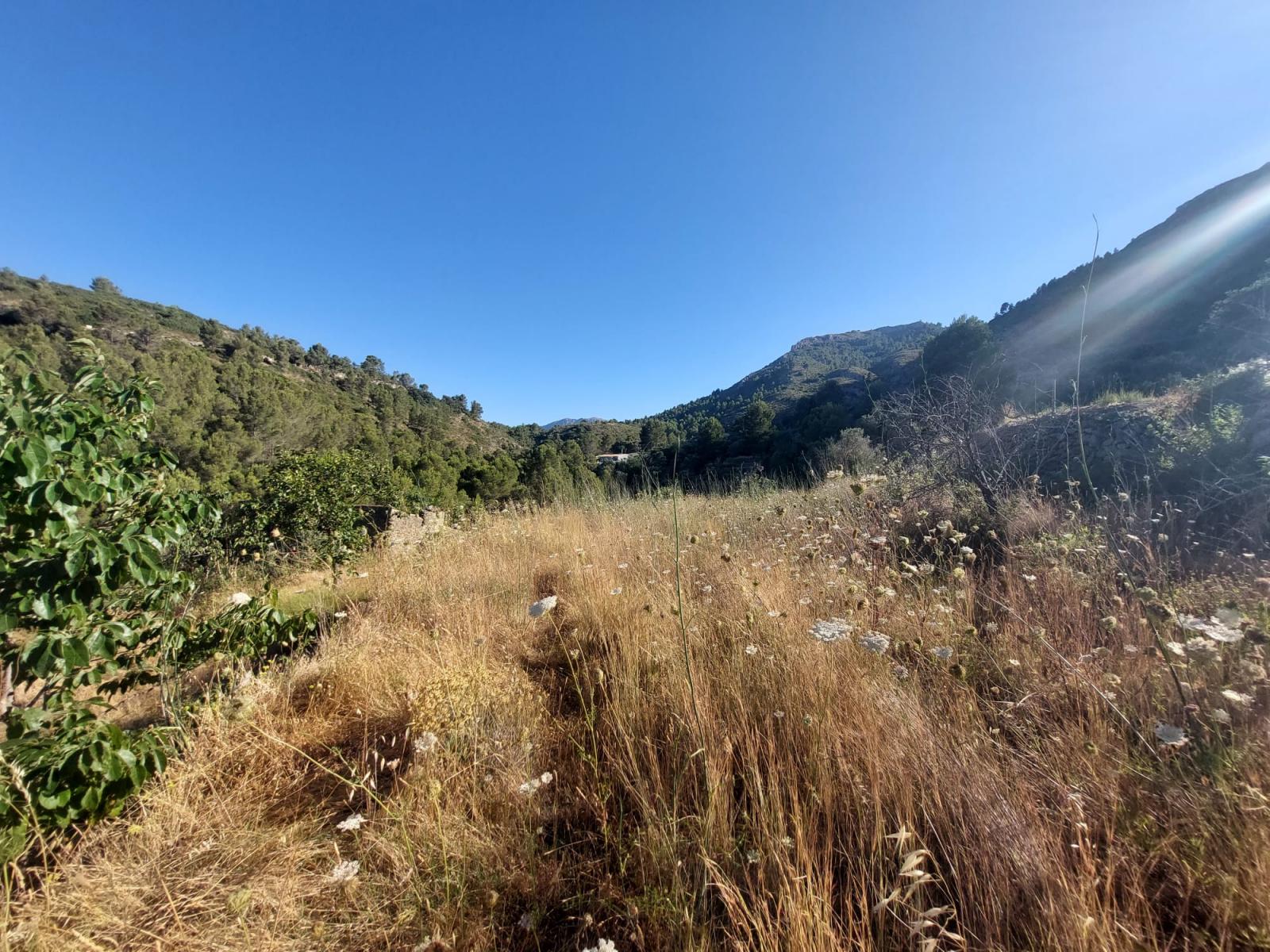 Photo number 15. Land / Ground for sale in Jalón / Xaló. Ref.: PRT-292330