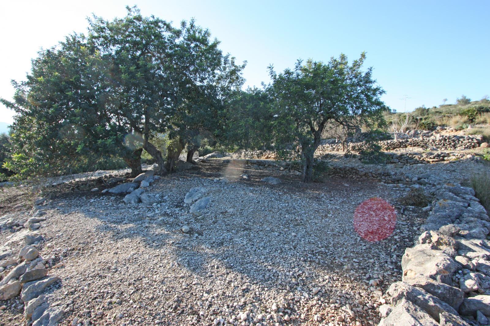 Photo number 1. Land / Ground for sale in Benimeli. Ref.: PRT-294354