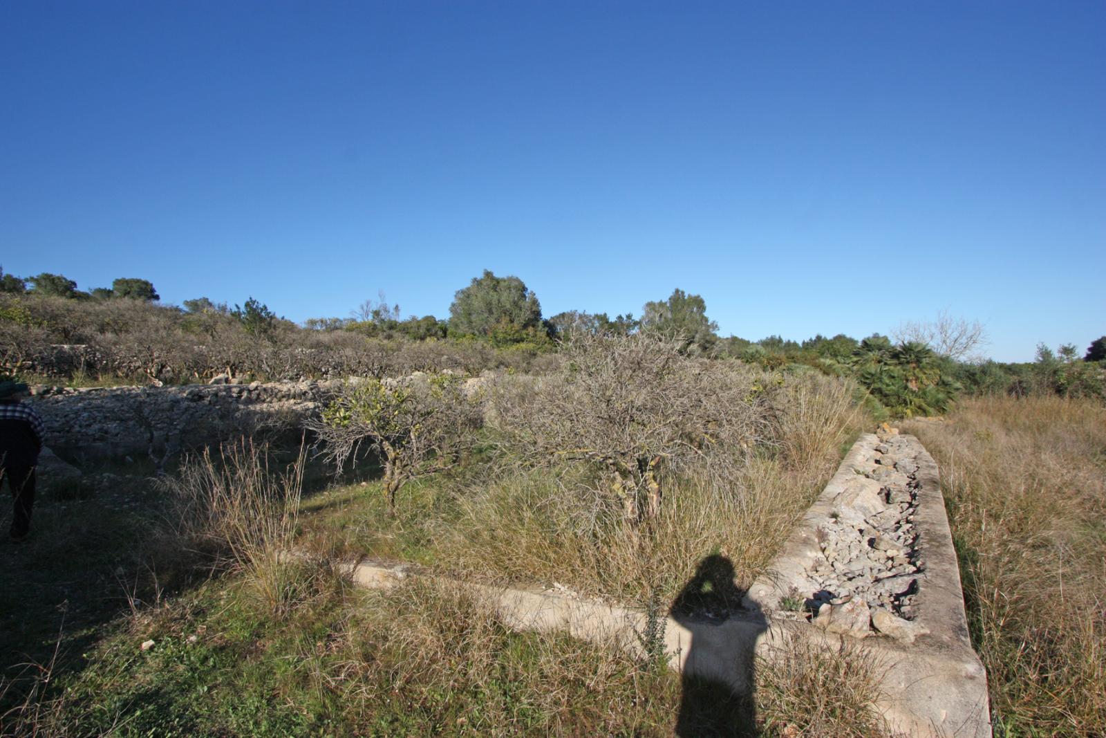Photo number 2. Land / Ground for sale in Benimeli. Ref.: PRT-294354