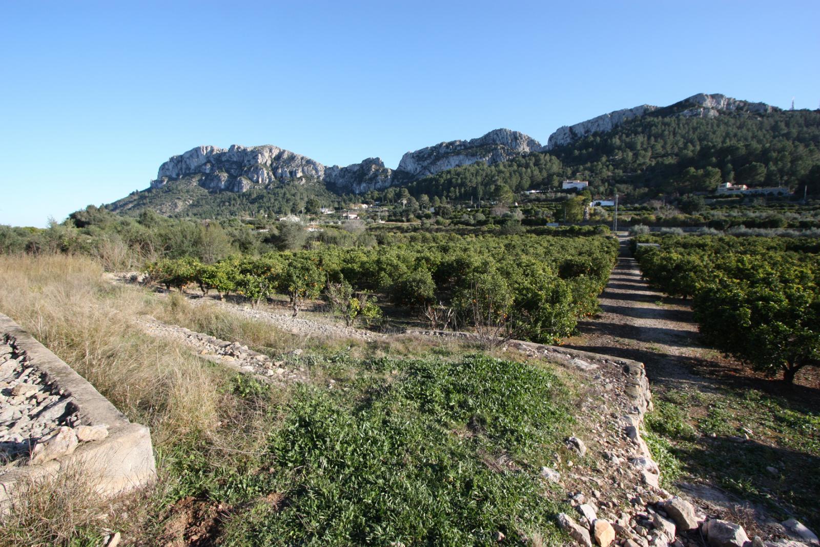 Photo number 3. Land / Ground for sale in Benimeli. Ref.: PRT-294354