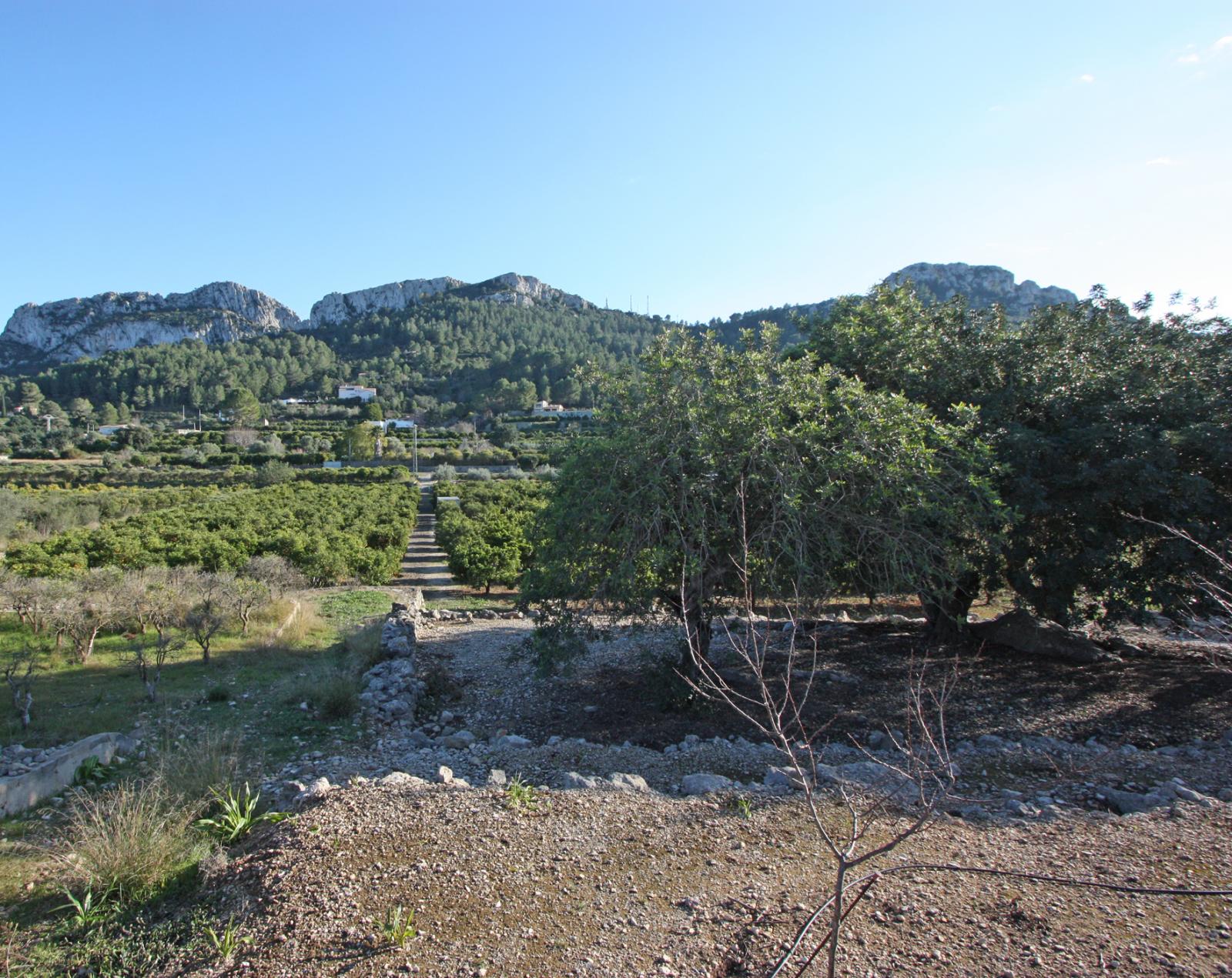 Photo number 5. Land / Ground for sale in Benimeli. Ref.: PRT-294354