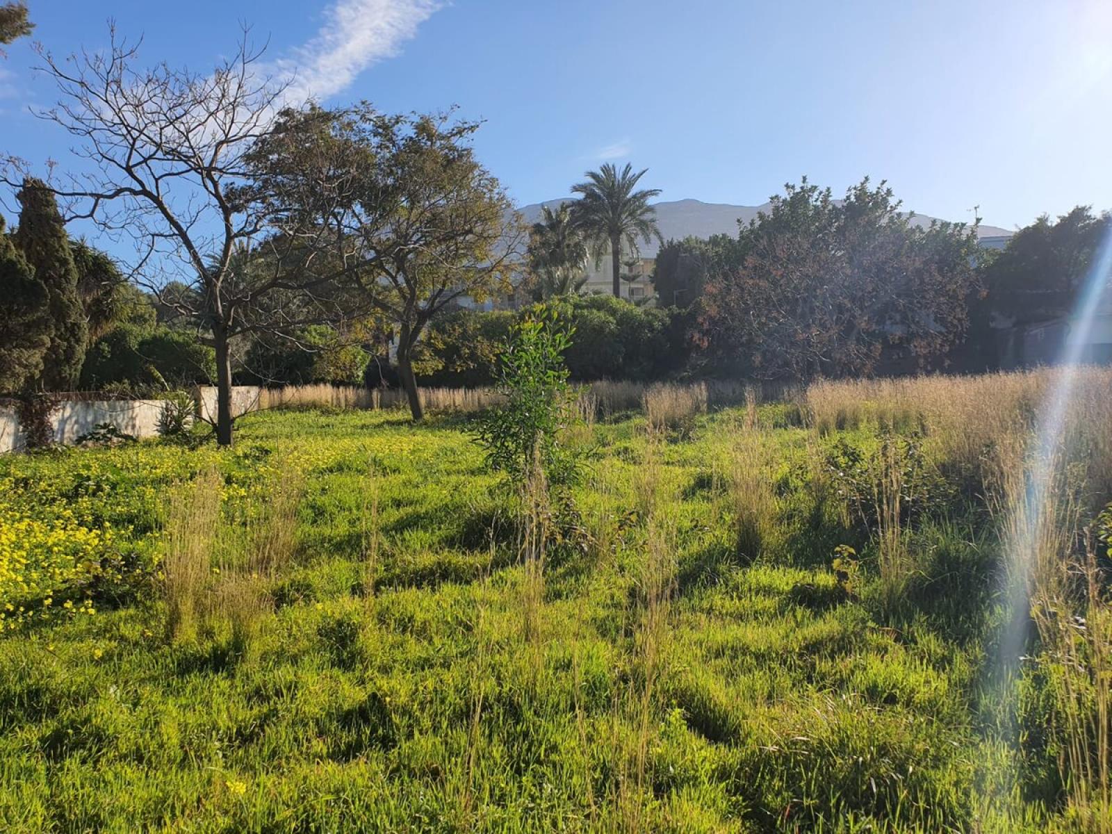 Photo number 3. Land / Ground for sale on the first beach line in Denia. Ref.: SLH-5-36-15504