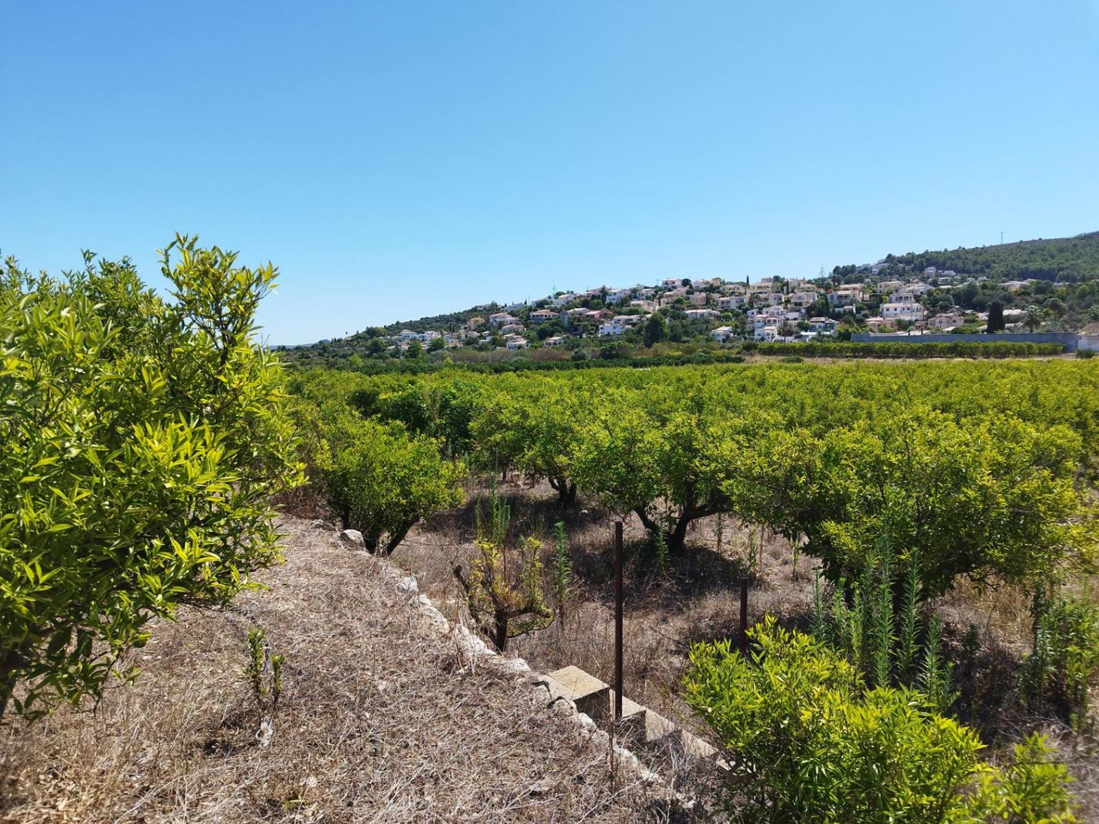 Photo number 1. Land / Ground for sale in Orba. Ref.: PRT-305789