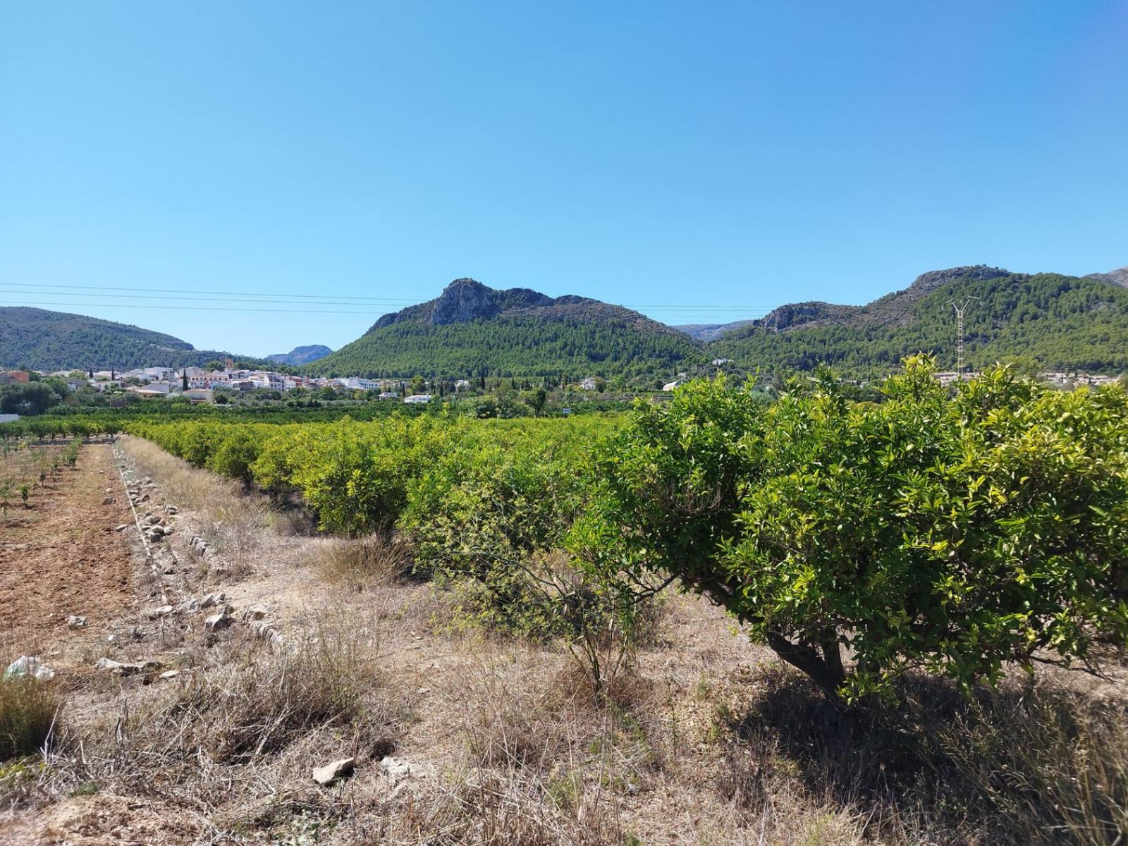 Photo number 8. Land / Ground for sale in Orba. Ref.: PRT-305789