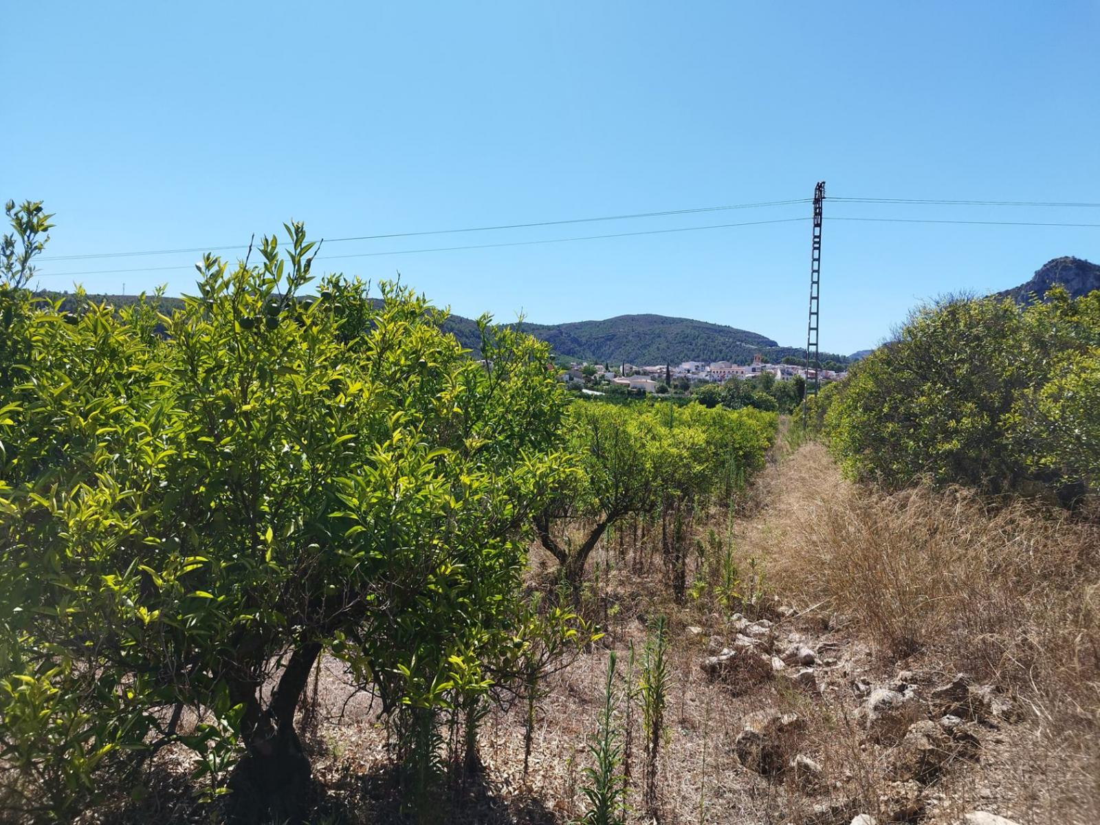 Photo number 9. Land / Ground for sale in Orba. Ref.: PRT-305789