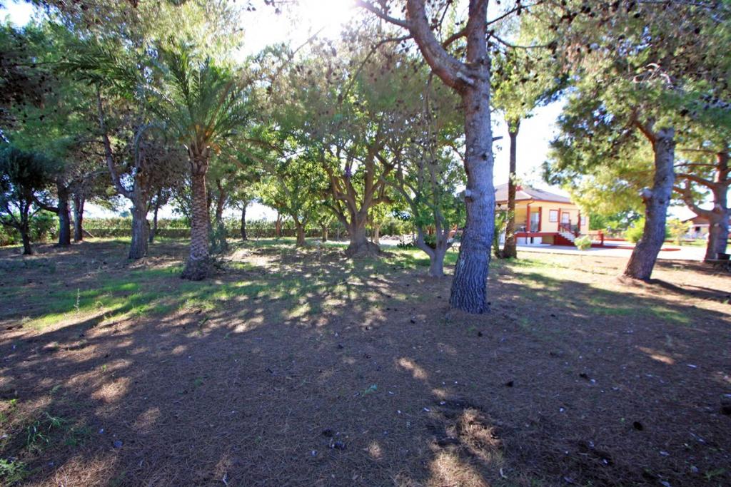 Photo number 26. Villa for sale in Els Poblets. Ref.: PRT-307673