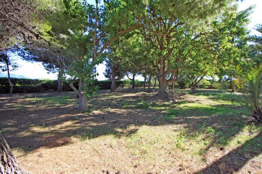 Photo number 25. Villa for sale in Els Poblets. Ref.: PRT-307673