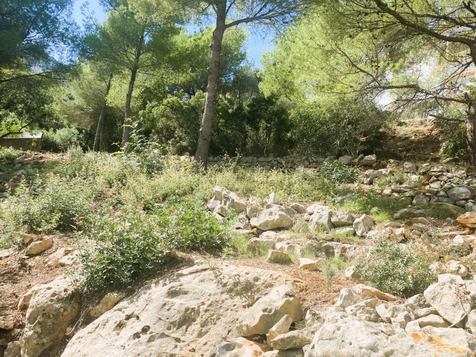 Photo number 10. Land / Ground for sale in Denia. Ref.: EIR-557658