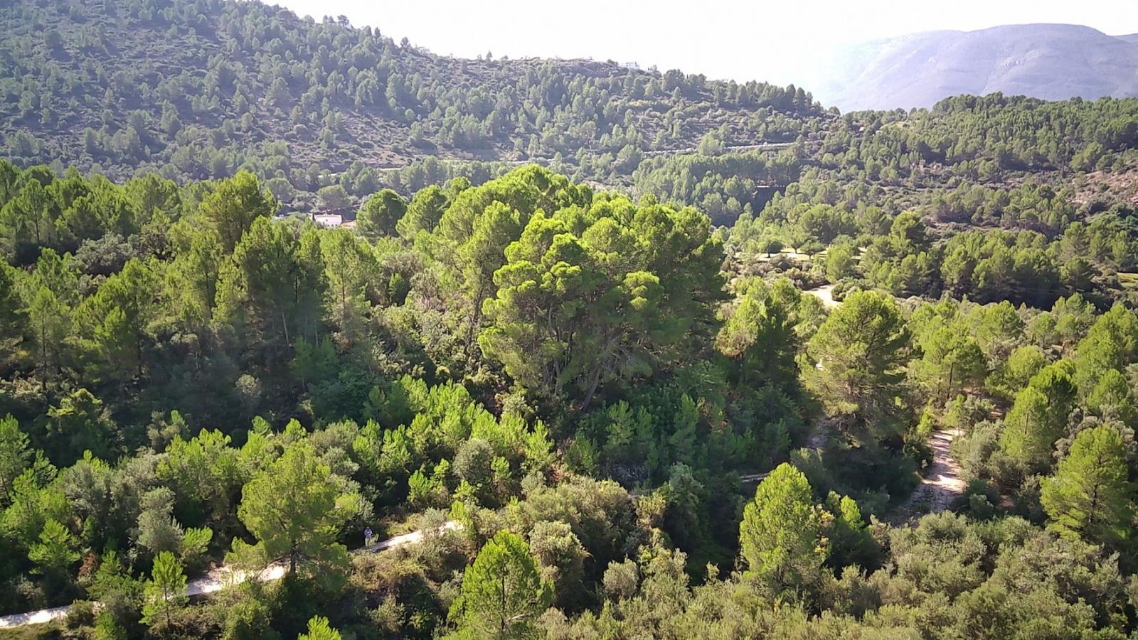 Photo number 3. Land / Ground for sale in Orba. Ref.: PRT-303456