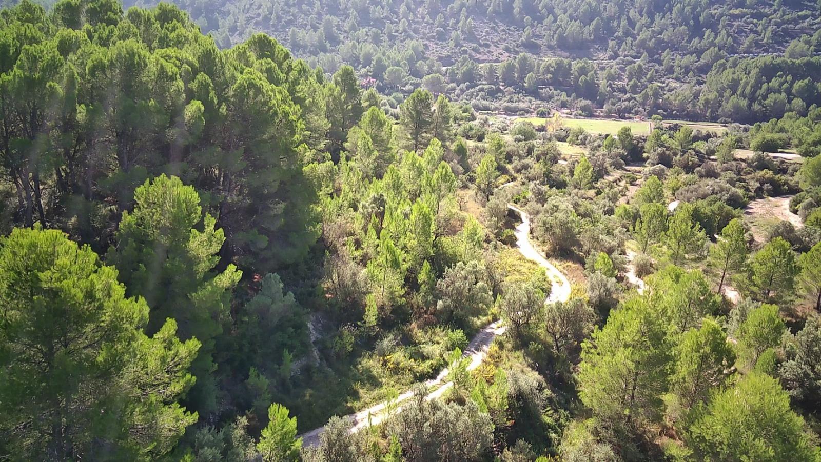 Photo number 6. Land / Ground for sale in Orba. Ref.: PRT-303456