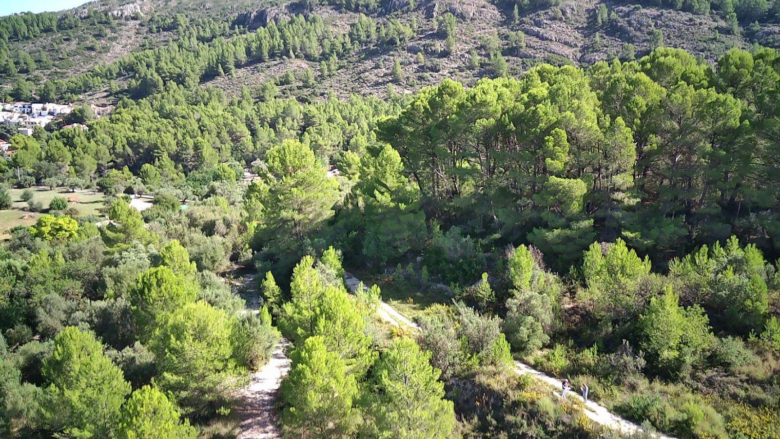 Photo number 8. Land / Ground for sale in Orba. Ref.: PRT-303456