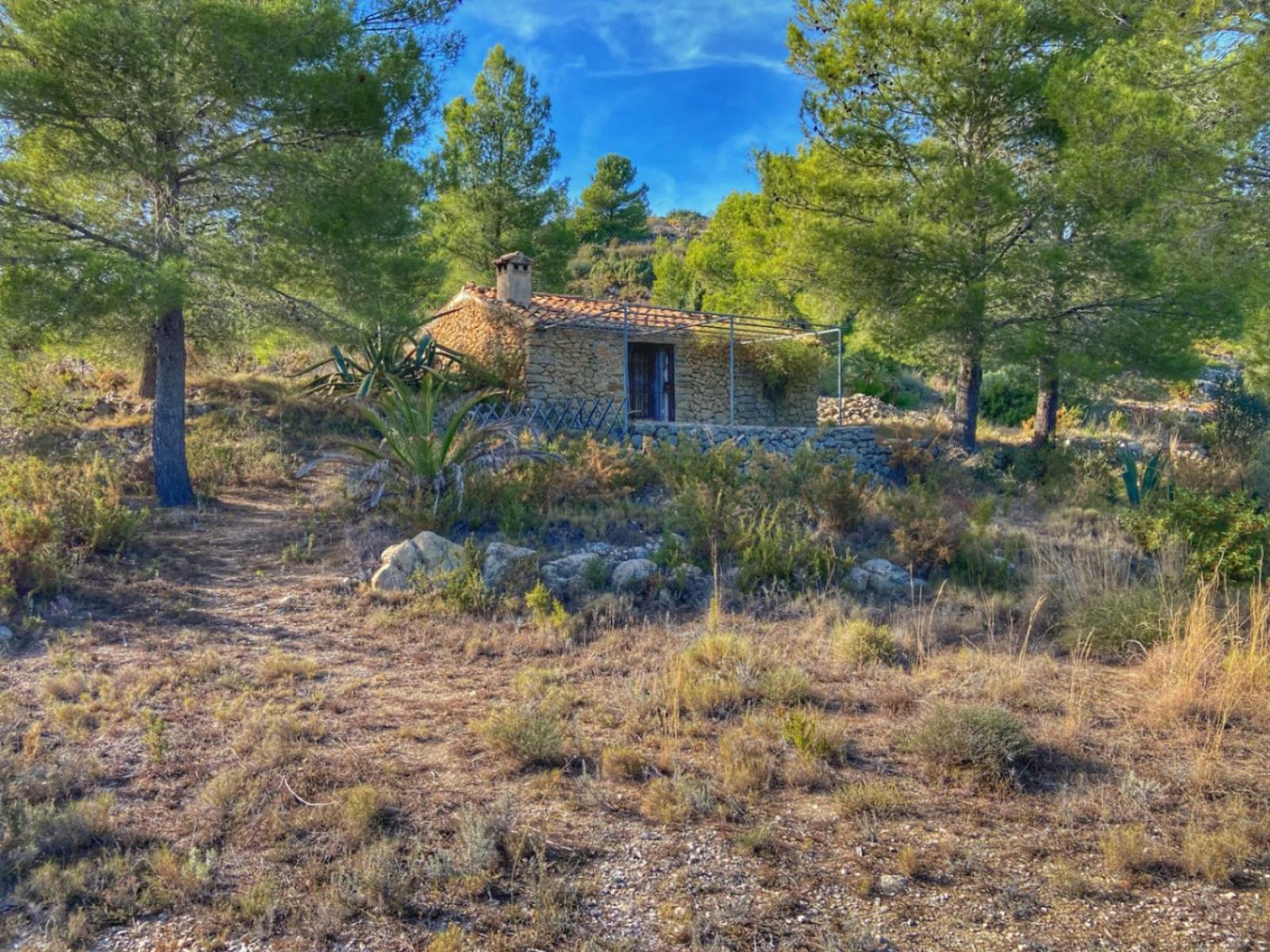 Photo number 12. Land / Ground for sale in Jalón / Xaló. Ref.: PRT-309476