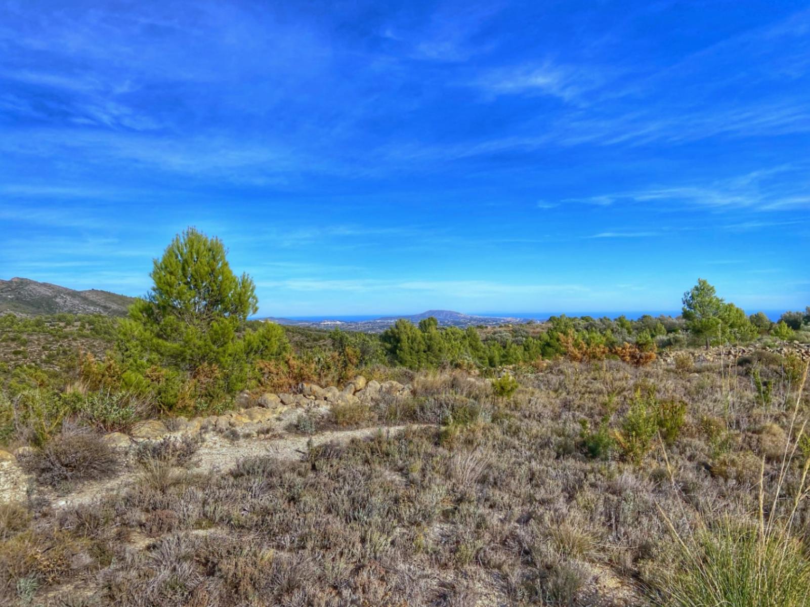 Photo number 13. Land / Ground for sale in Jalón / Xaló. Ref.: PRT-309476