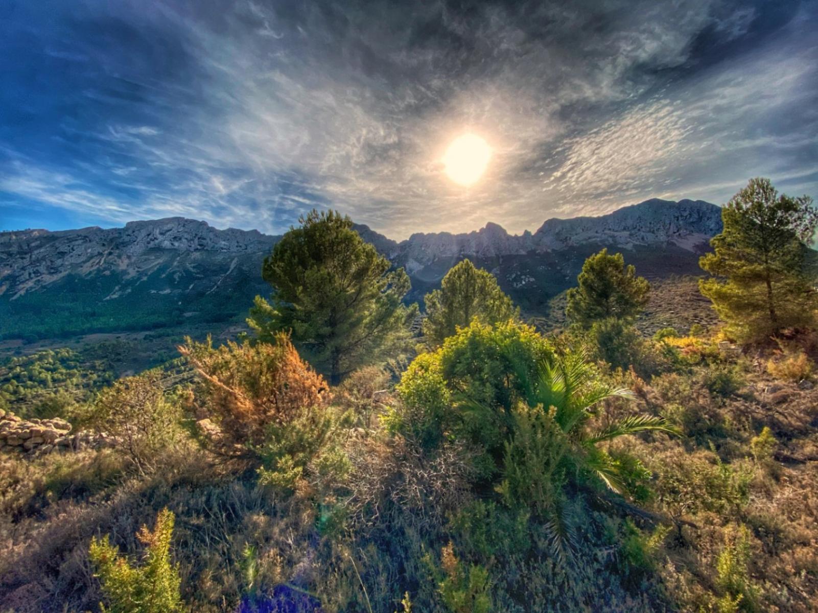 Photo number 14. Land / Ground for sale in Jalón / Xaló. Ref.: PRT-309476