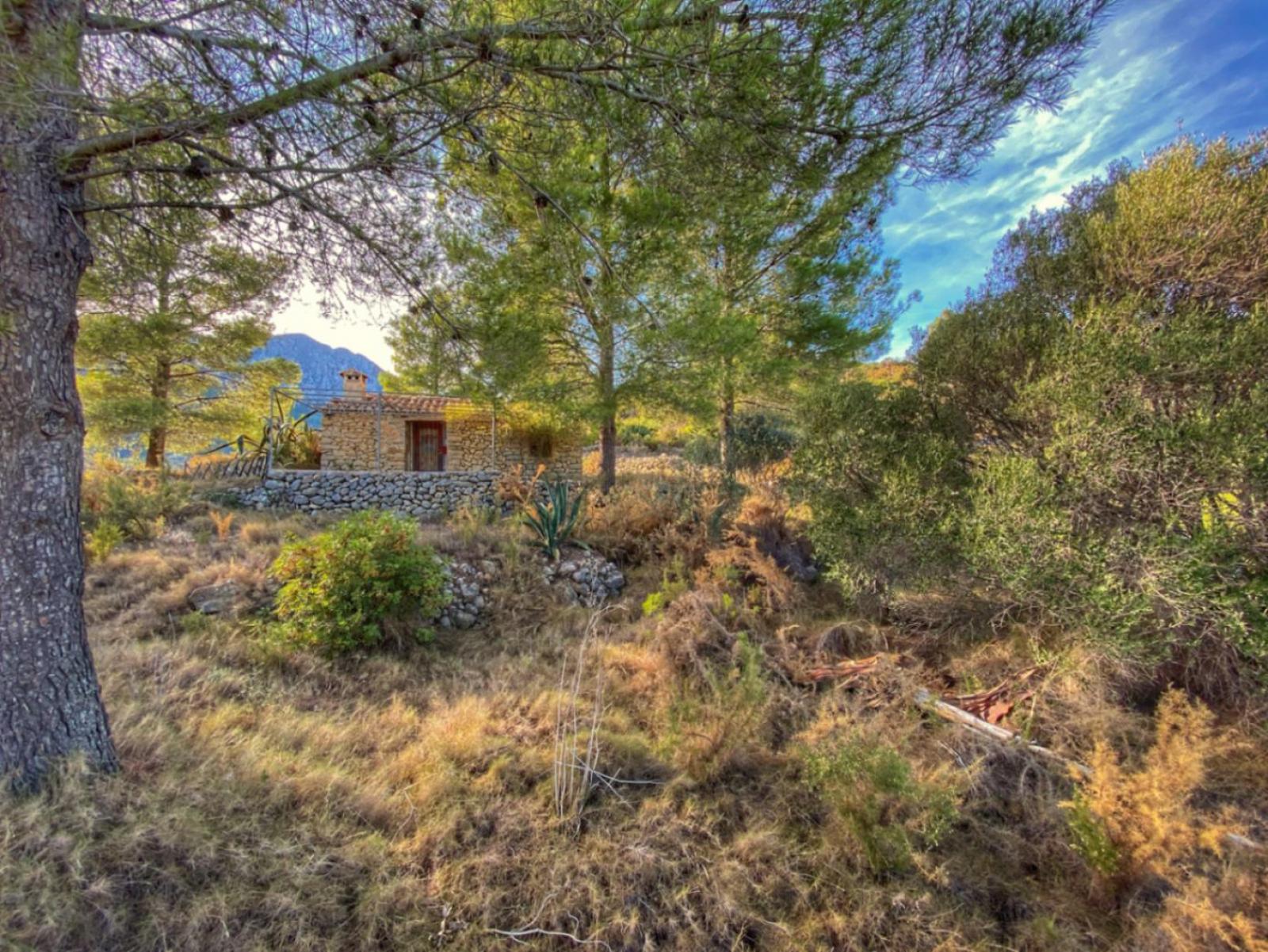 Photo number 15. Land / Ground for sale in Jalón / Xaló. Ref.: PRT-309476