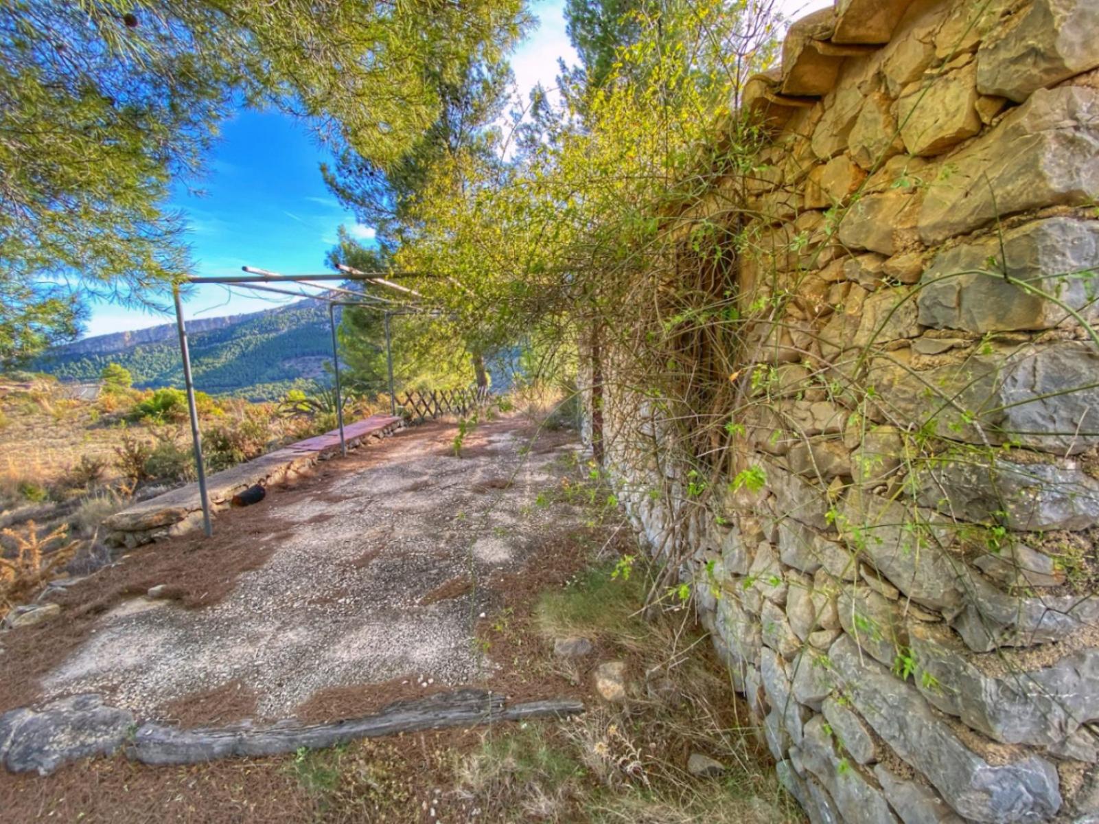 Photo number 17. Land / Ground for sale in Jalón / Xaló. Ref.: PRT-309476