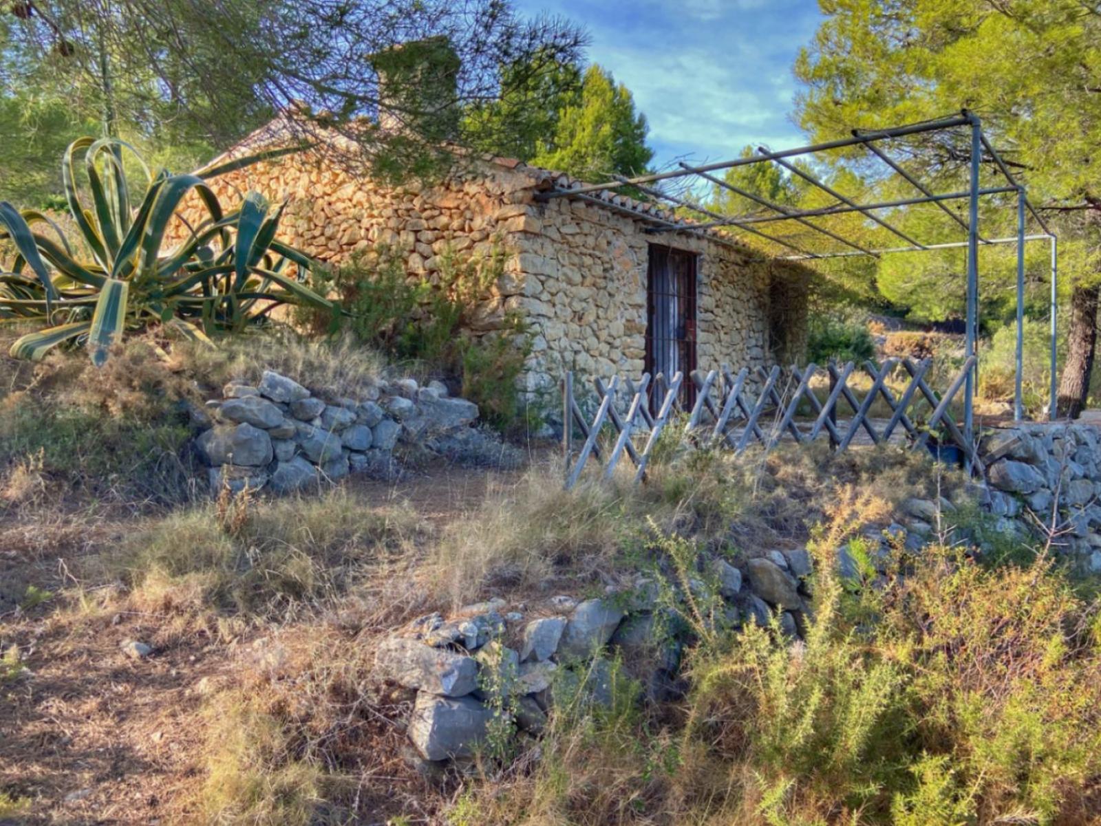 Photo number 19. Land / Ground for sale in Jalón / Xaló. Ref.: PRT-309476