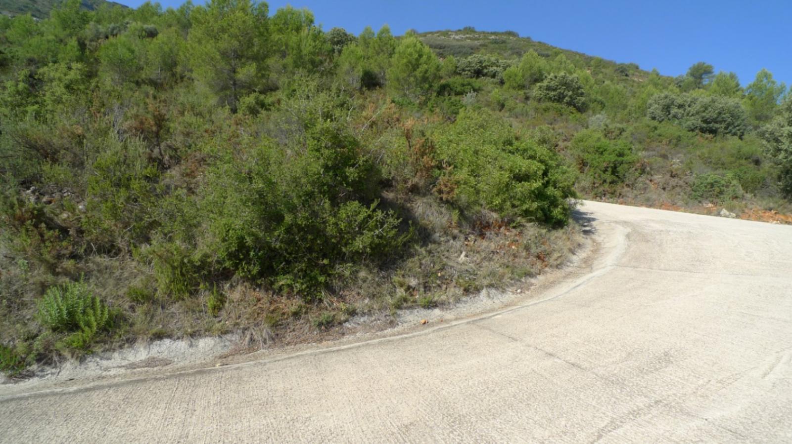 Photo number 8. Land / Ground for sale in Benichembla. Ref.: PRT-318147