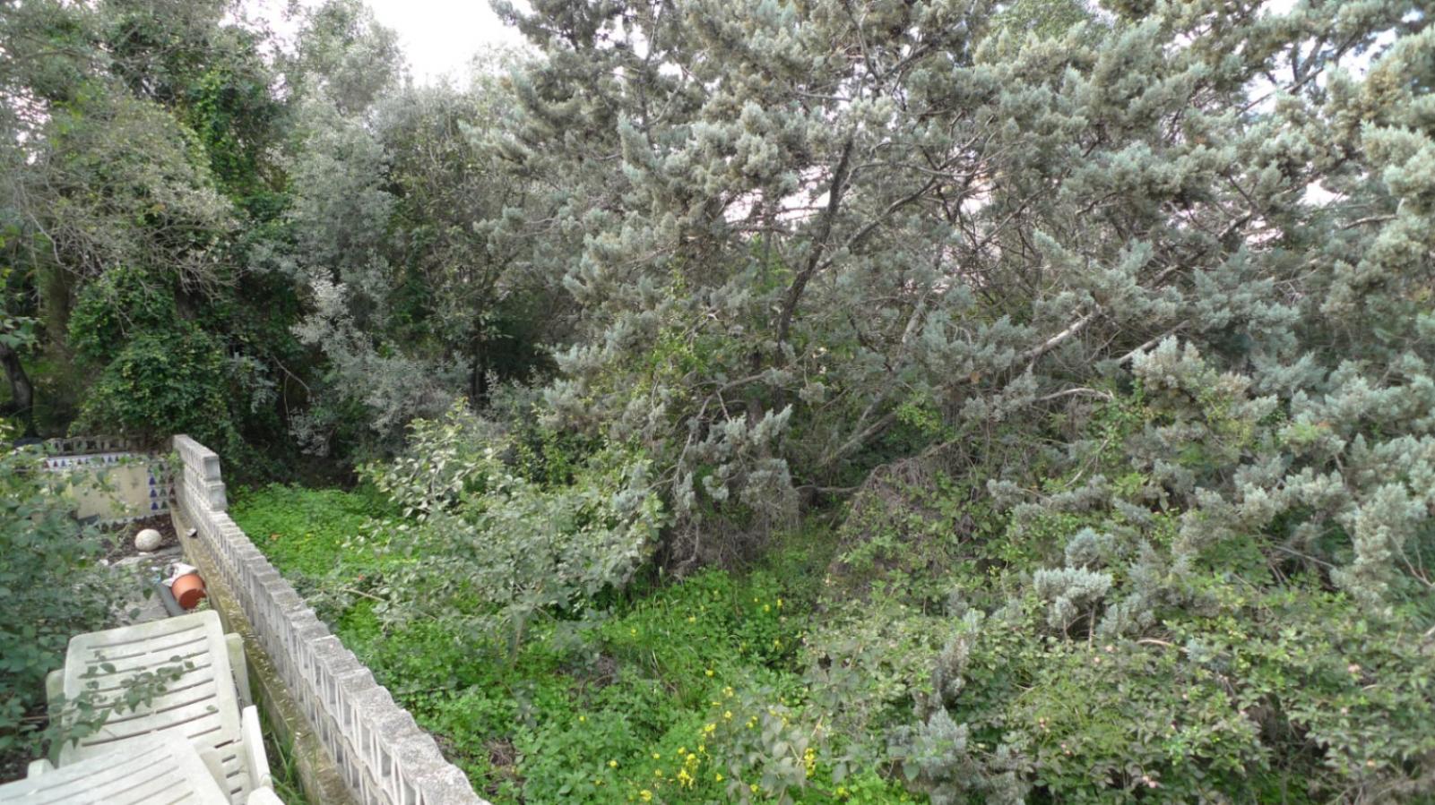 Photo number 13. Land / Ground for sale in Orba. Ref.: PRT-331058