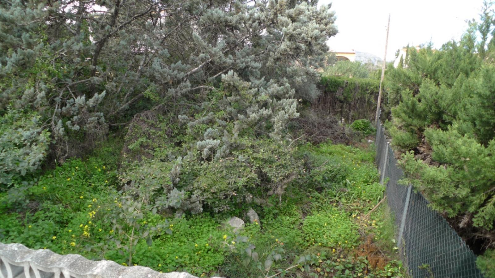 Photo number 12. Land / Ground for sale in Orba. Ref.: PRT-331058