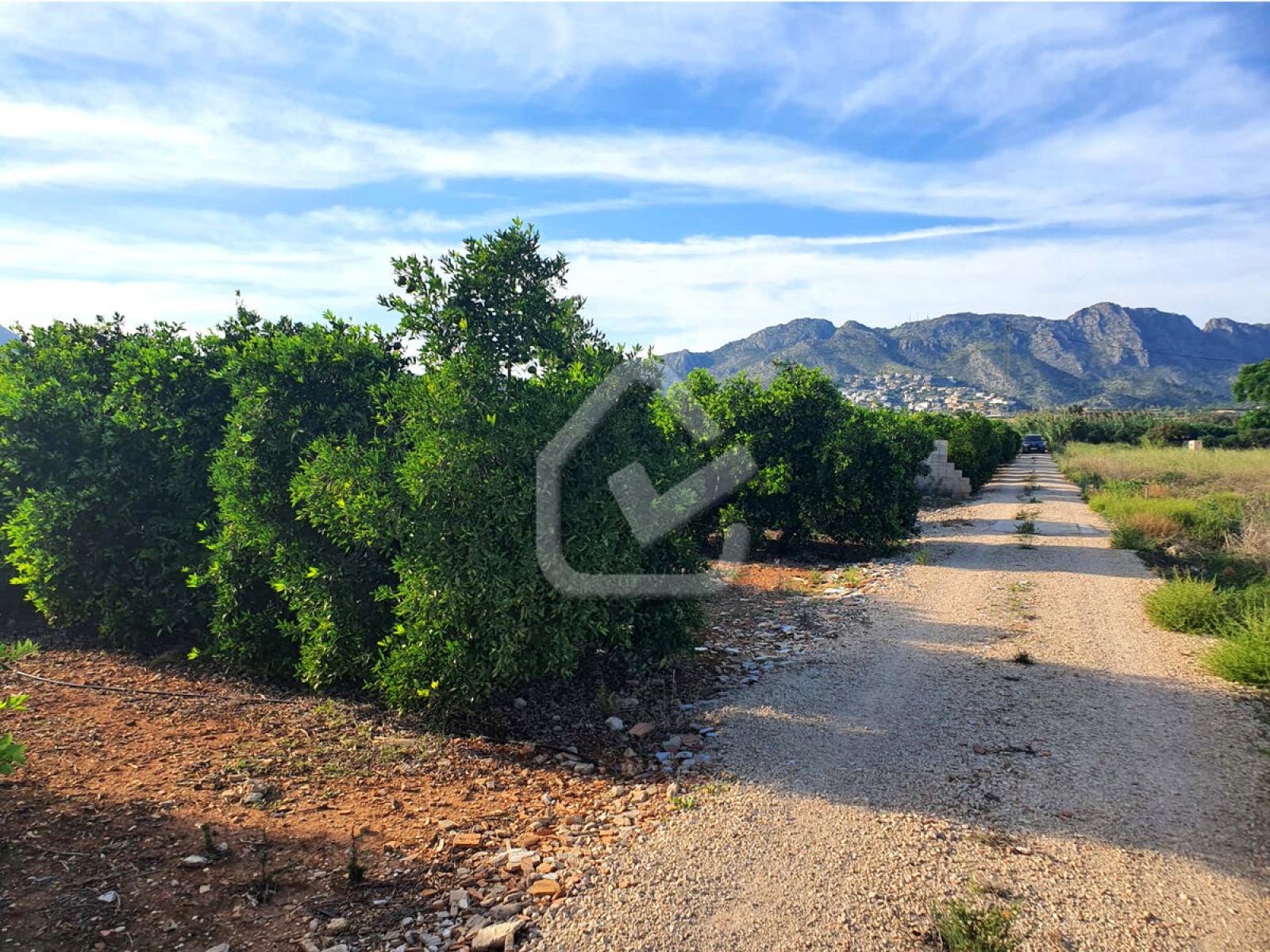 Photo number 3. Land / Ground for sale in Benidoleig. Ref.: SLH-5-52-15618