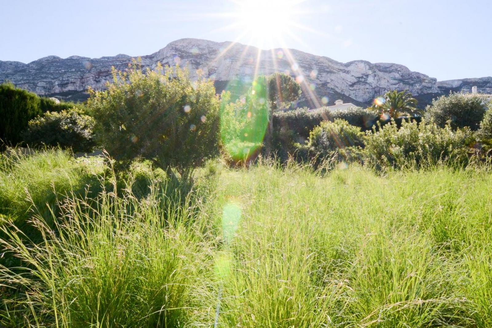 Photo number 7. Property for sale in Denia. Ref.: EHD-812410