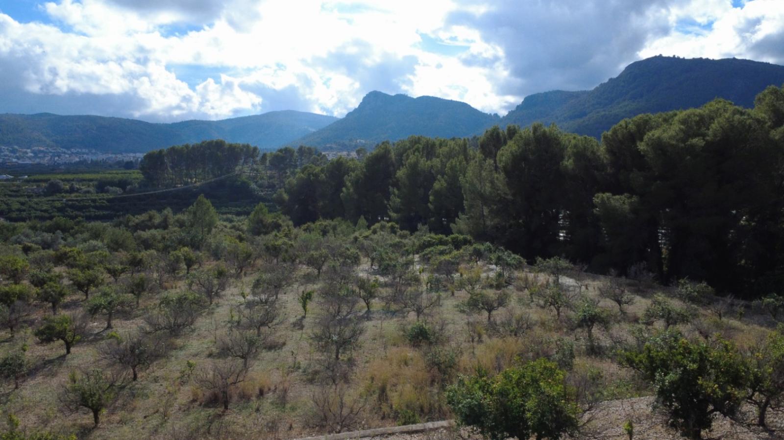 Photo number 5. Property for sale in Orba. Ref.: PRT-341107