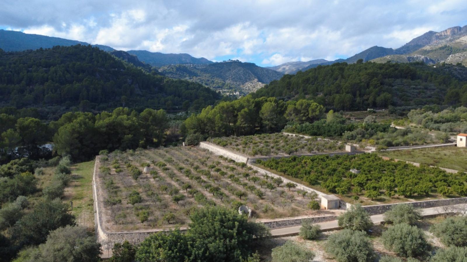 Photo number 6. Property for sale in Orba. Ref.: PRT-341107