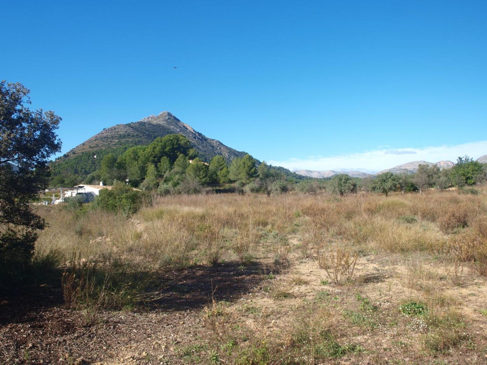 Photo number 1. Property for sale in Murla. Ref.: PRT-342492