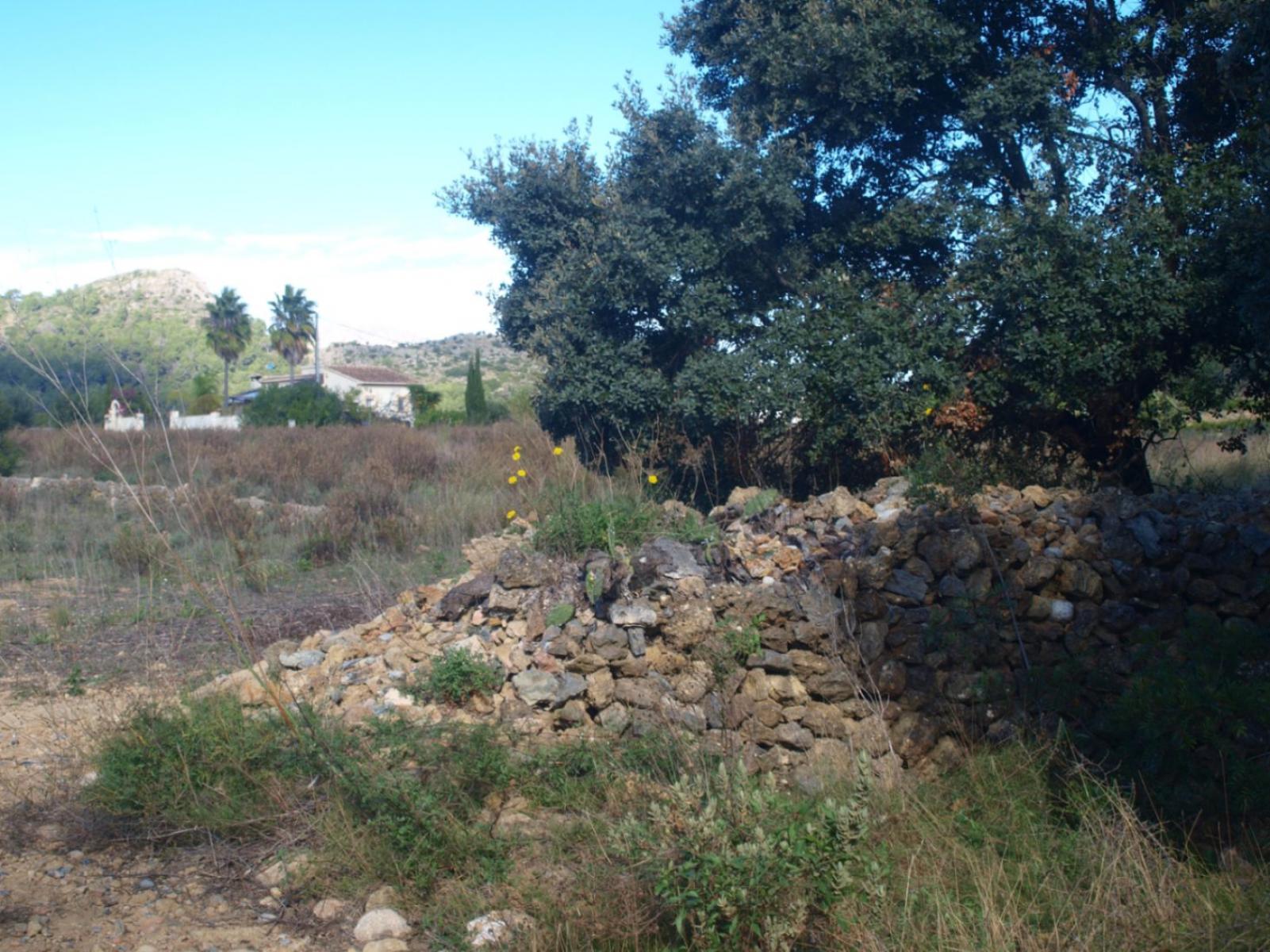 Photo number 2. Property for sale in Murla. Ref.: PRT-342492
