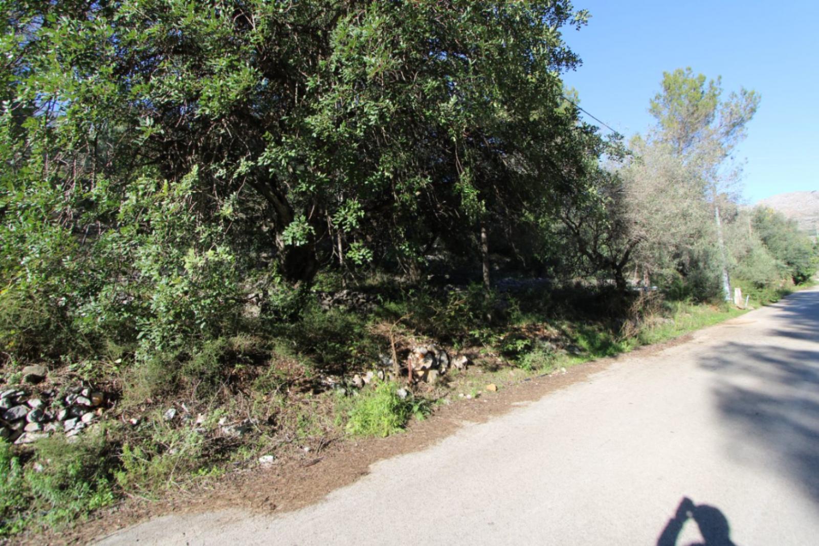Photo number 4. Property for sale in Orba. Ref.: PRT-342793