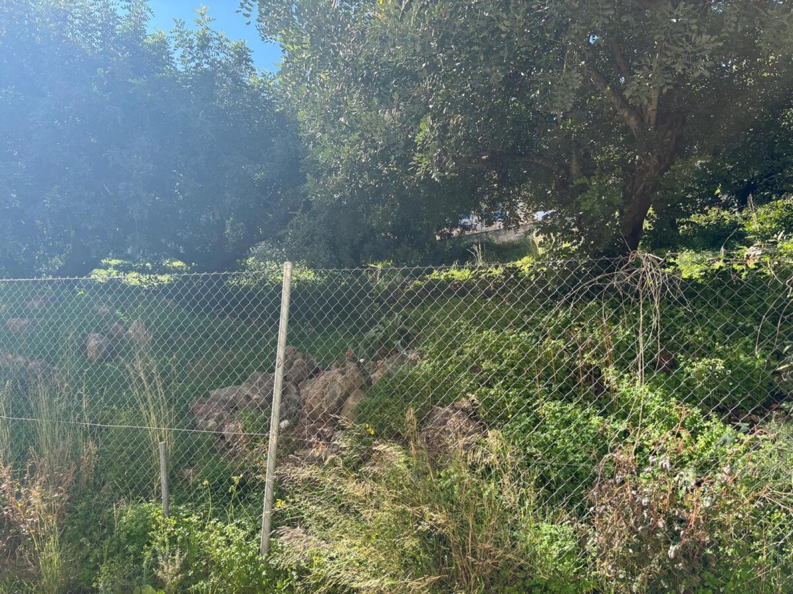 Photo number 7. Land / Ground for sale in Denia. Ref.: SLH-5-17-15914