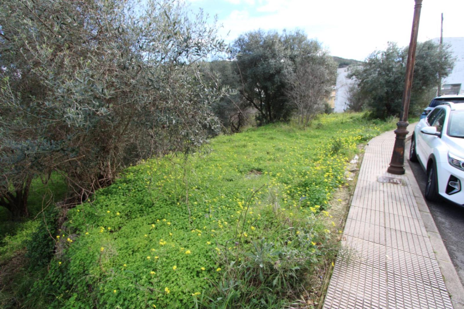 Photo number 3. Property for sale in Orba. Ref.: PRT-348317