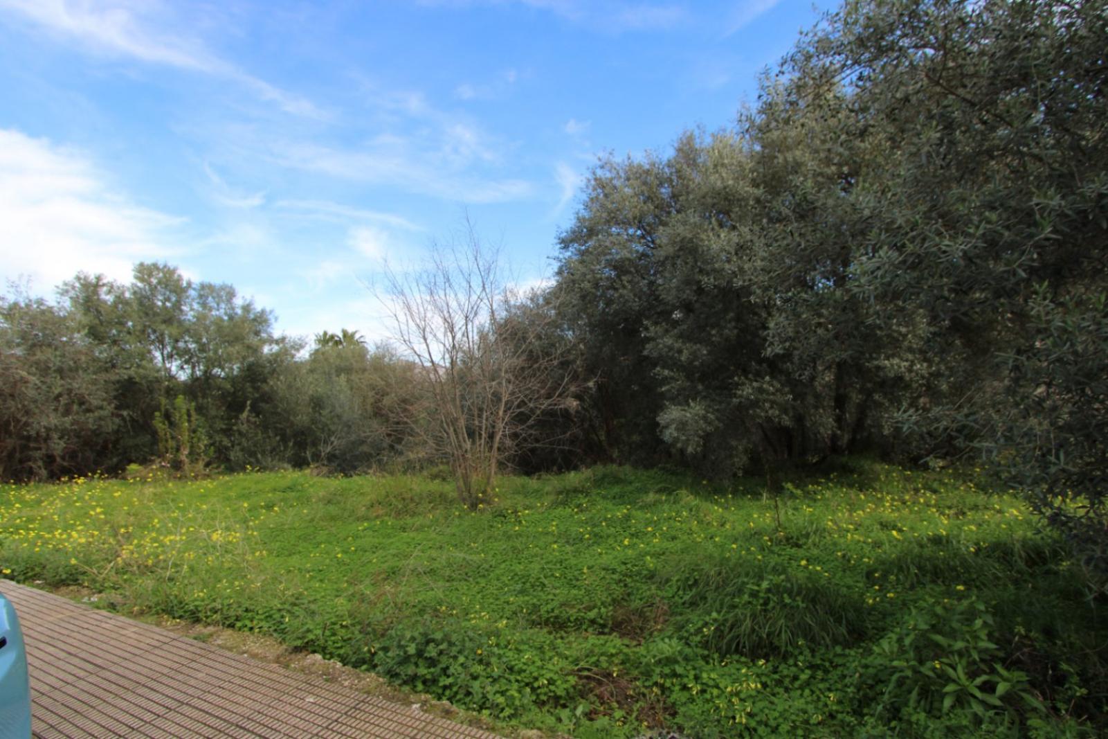 Photo number 4. Property for sale in Orba. Ref.: PRT-348317