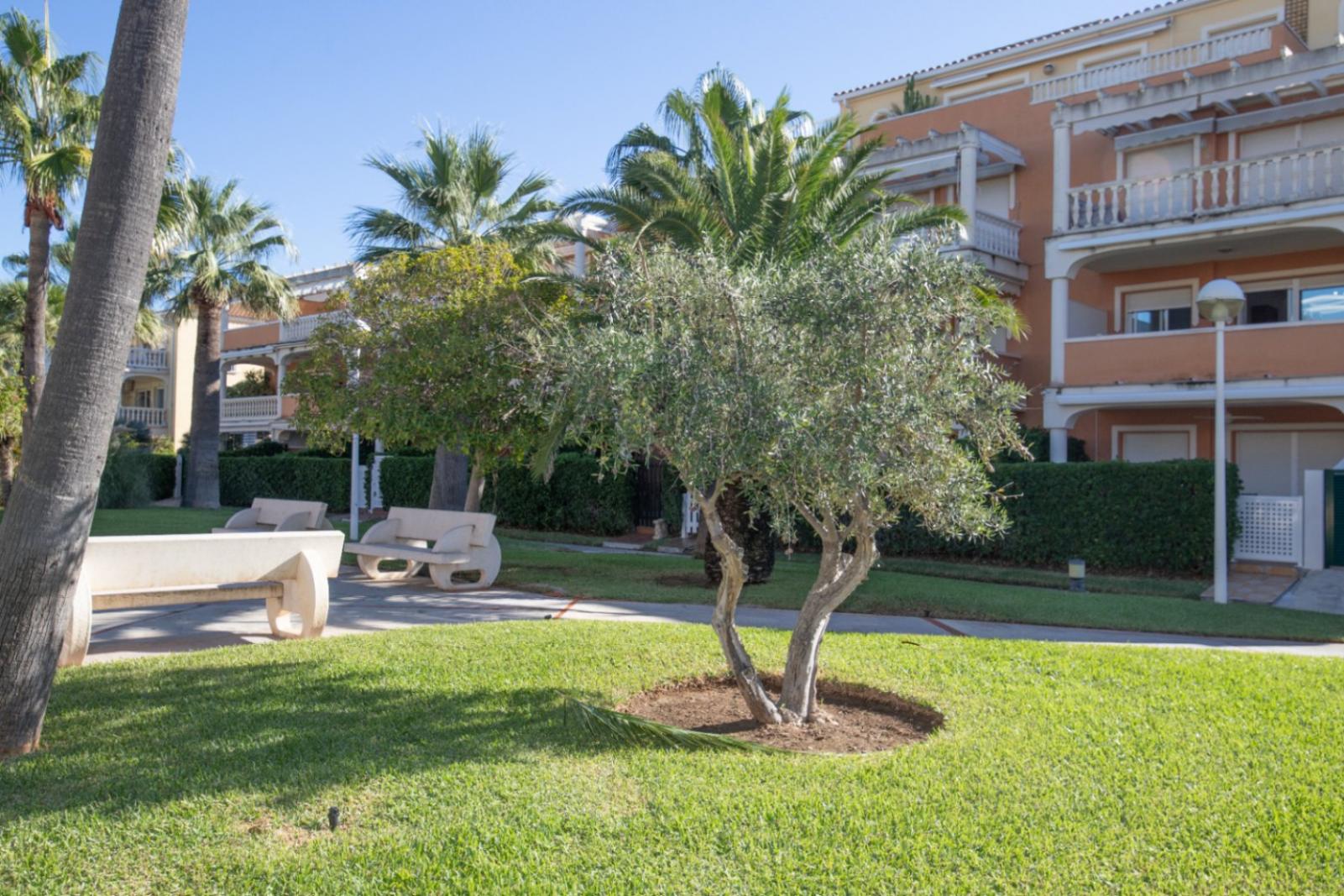 Photo number 8. Flat / Apartment for sale in Denia. Ref.: XMI-365460