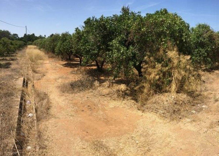 Photo number 2. Land / Ground for sale in Denia. Ref.: PRT-25640